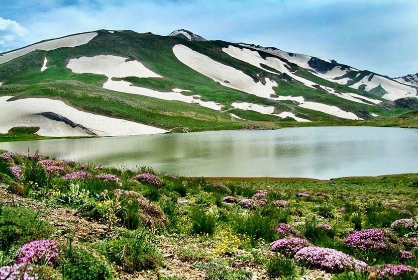 دالامپر