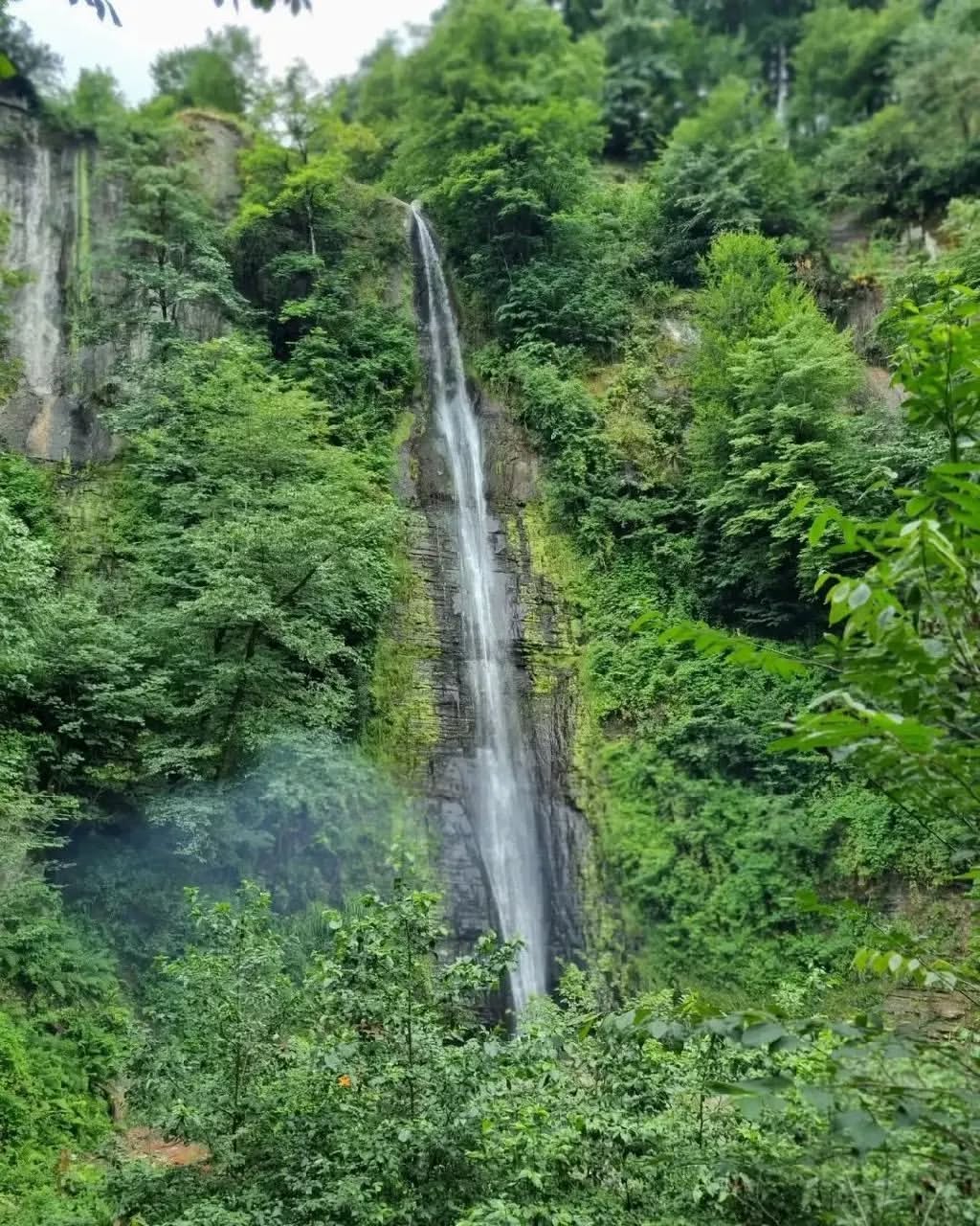 لمیر2
