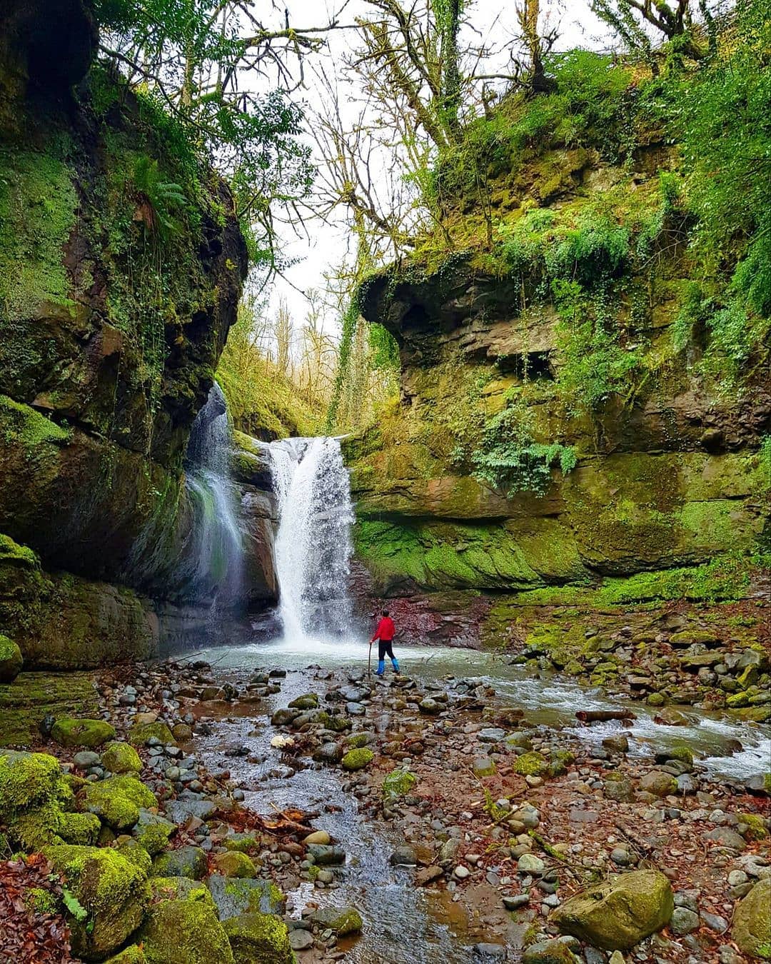 آبشار ریشو 1